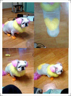 안녕하세요 사랑이언니예요~^^