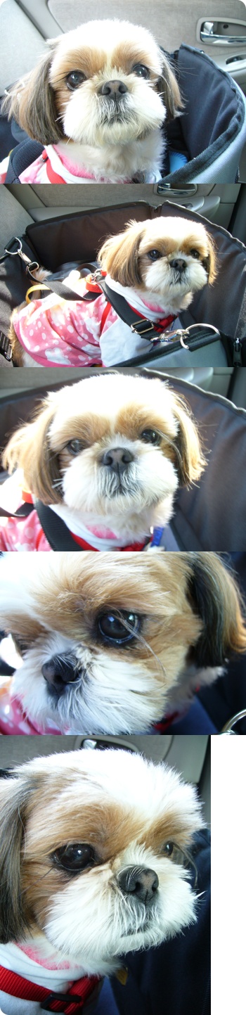 오랜만에 래미도 다녀가요오~