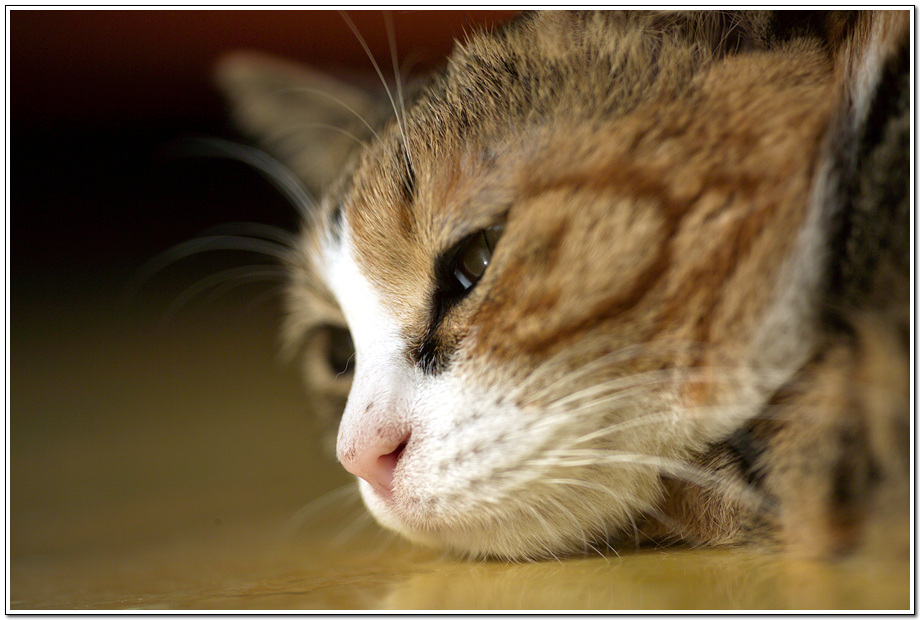 [은비이야기] 내 안에 앙마이따아~