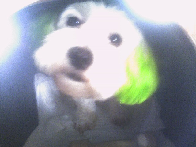 울집새식구 짱~아