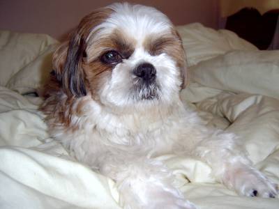 안녕하세요~ 투투 기억나세요?