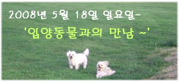 2008년 5월 18일 일요일 \'입양동물의날~\'안내