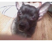 우리까망이요^^