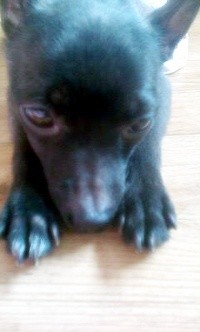 우리까망이요^^