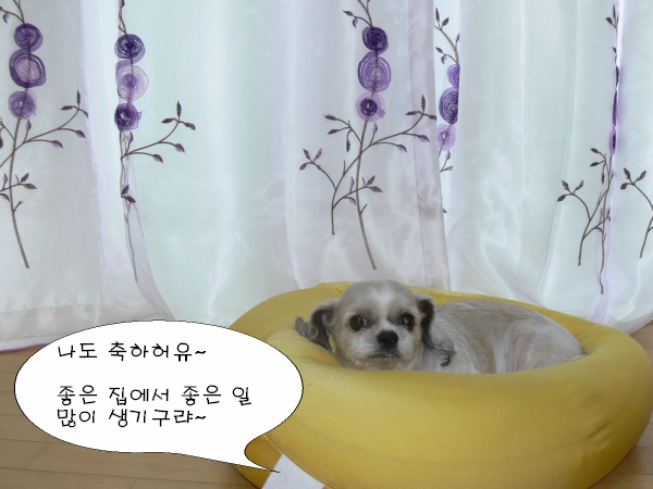 새집 축하해요~