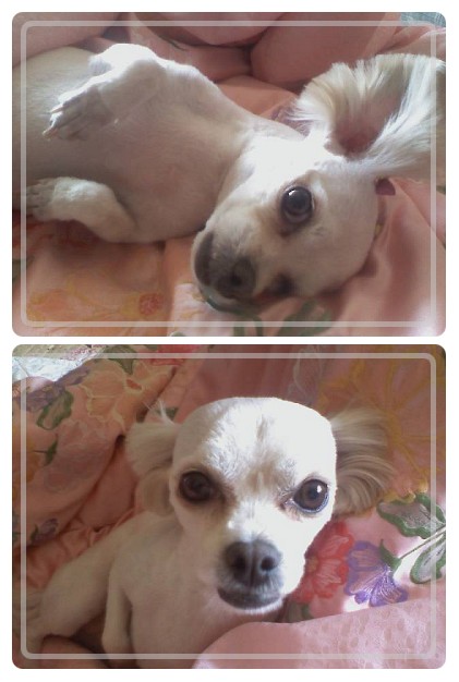 달달 이뿐달이~