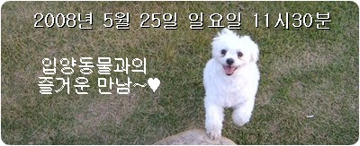 <font color=#EC0078>2008년 5월 25일 입양동물의날~
