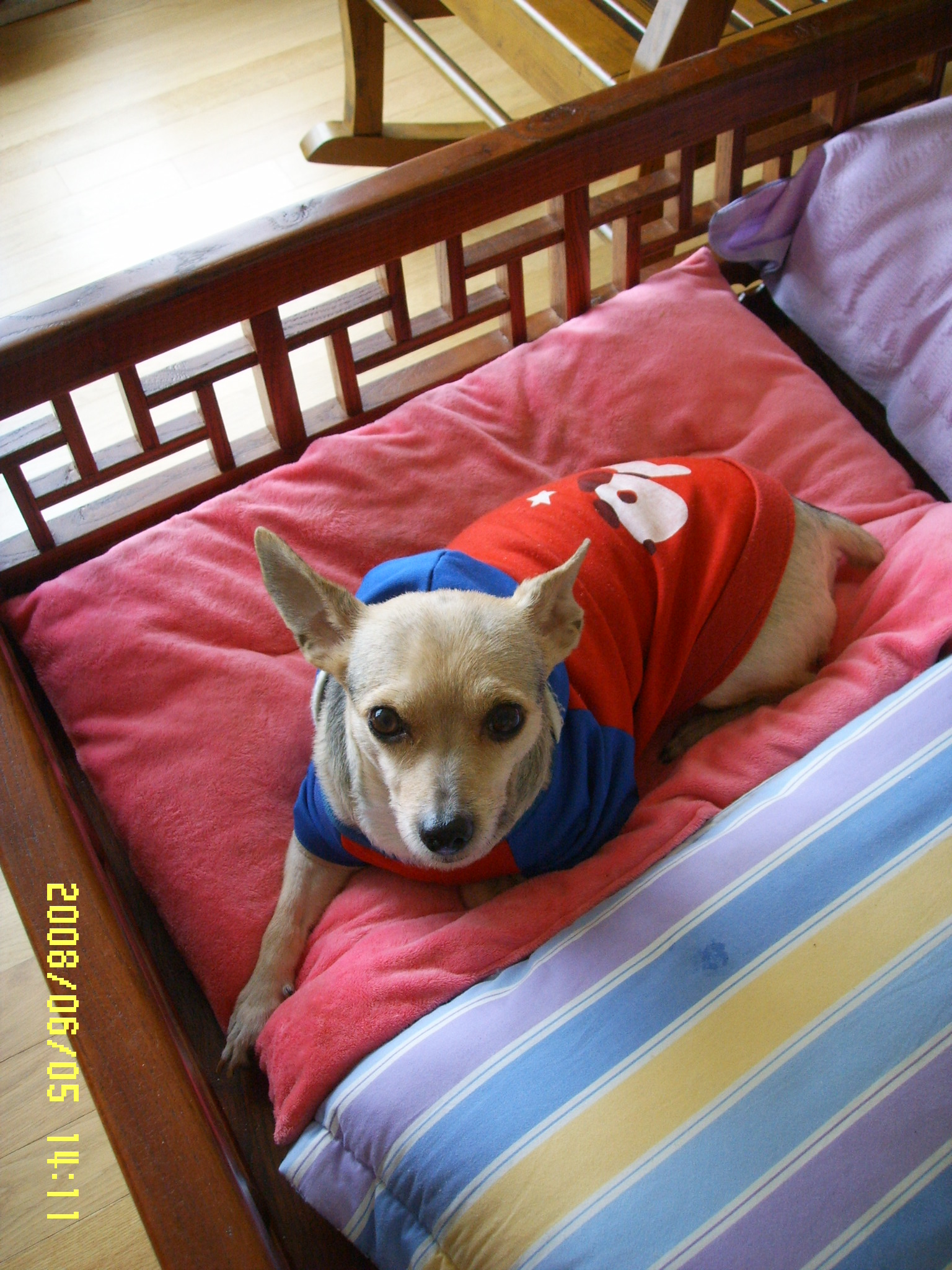 예삐, 알탕...그리고...킴!