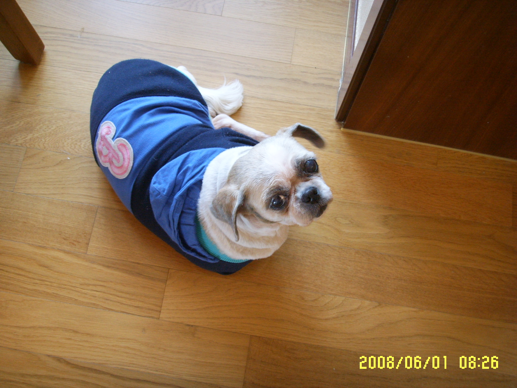 예삐, 알탕...그리고...킴!