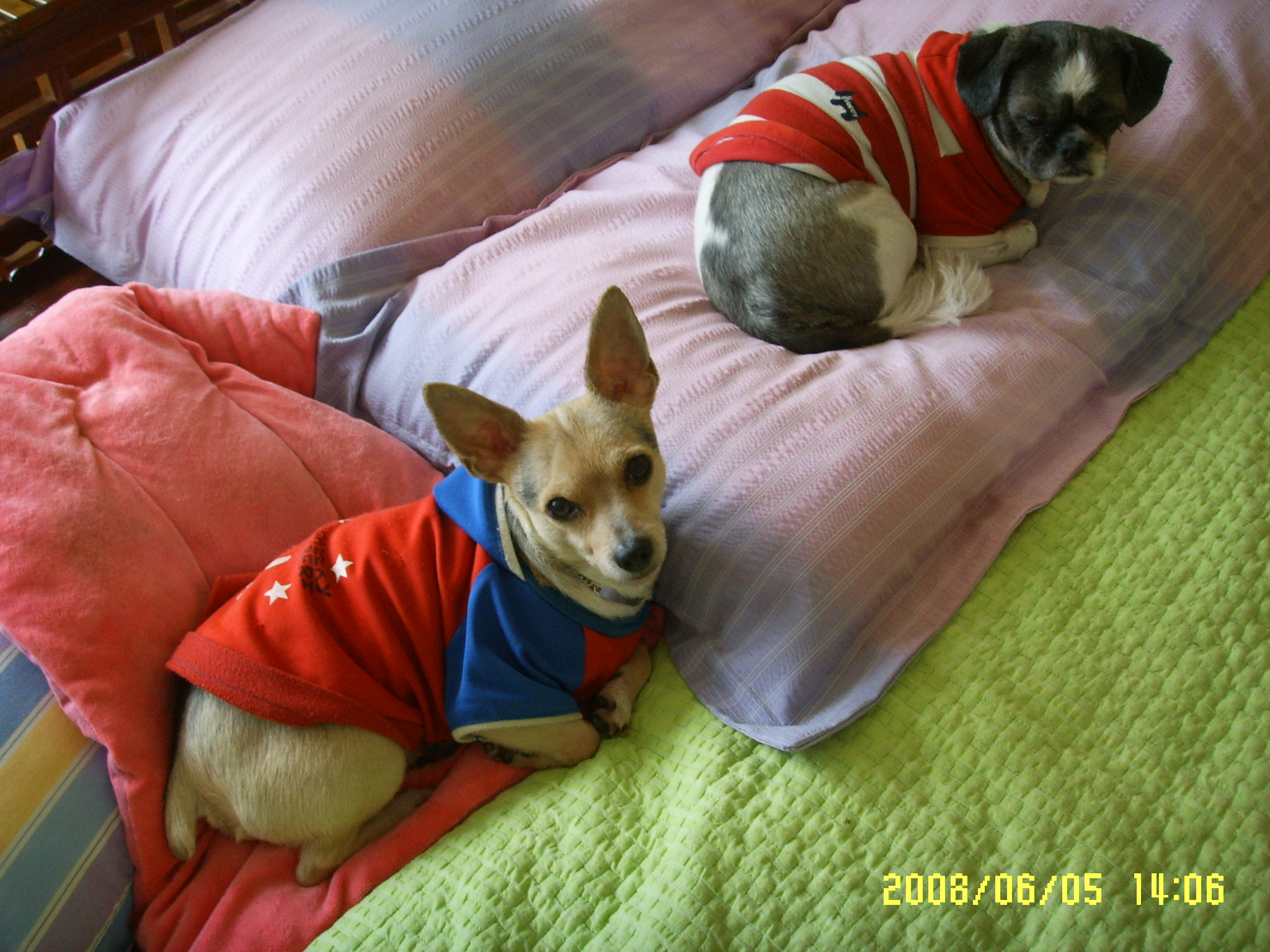 예삐, 알탕...그리고...킴!