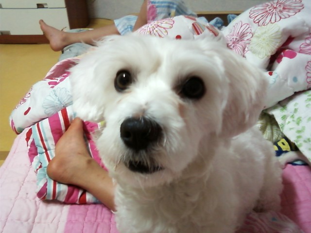 짱짱아짱아짱아*^^*ㅋ