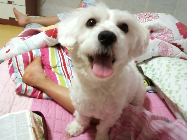 짱짱아짱아짱아*^^*ㅋ