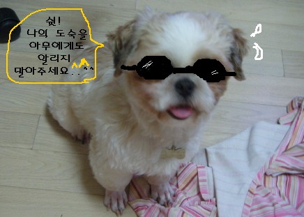 풍세군의당부말씀..