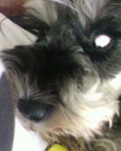 정말 오랜만이네요