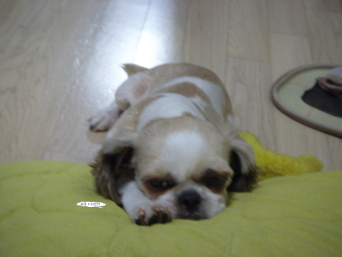 더워서 짜증나고 안좋은 소식들에 분개하다가 ....