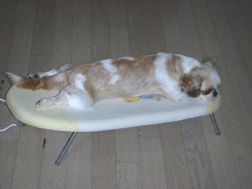 더워서 짜증나고 안좋은 소식들에 분개하다가 ....