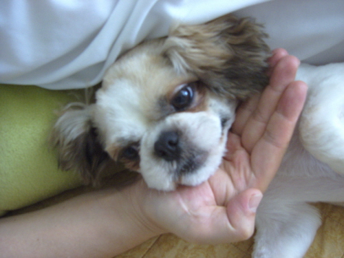 더워서 짜증나고 안좋은 소식들에 분개하다가 ....