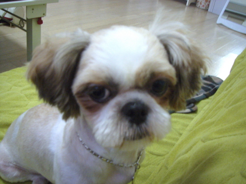 더워서 짜증나고 안좋은 소식들에 분개하다가 ....