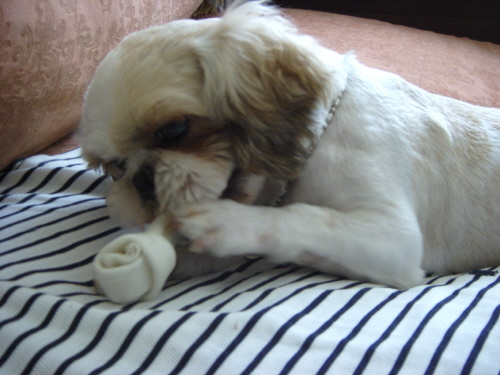 더워서 짜증나고 안좋은 소식들에 분개하다가 ....