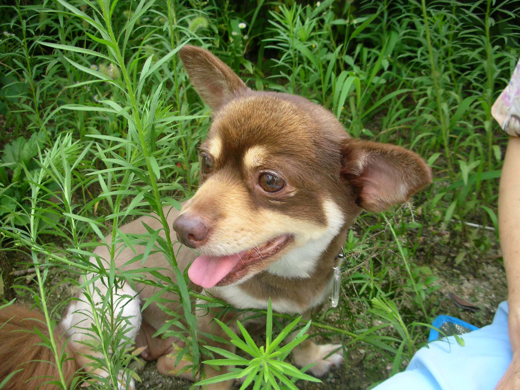 크리스마스의 첫소식입니당~~