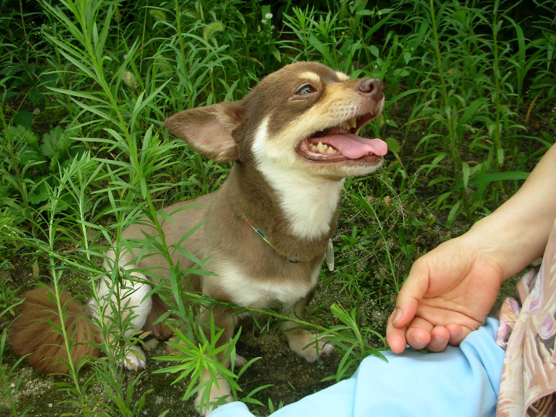 크리스마스의 첫소식입니당~~