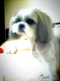 1년만인가 봅니다.