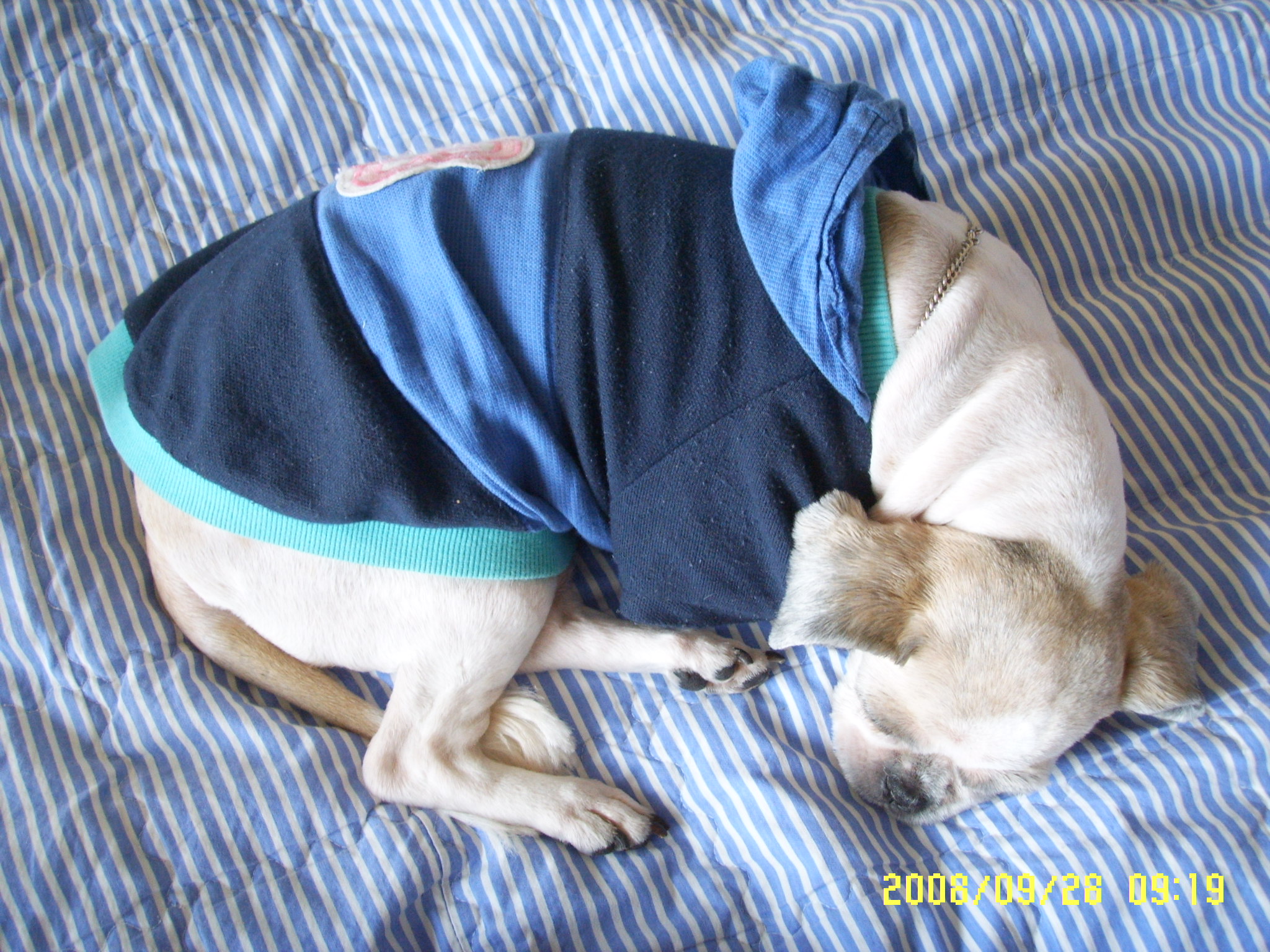 예삐...알탕이요....ㅎ~