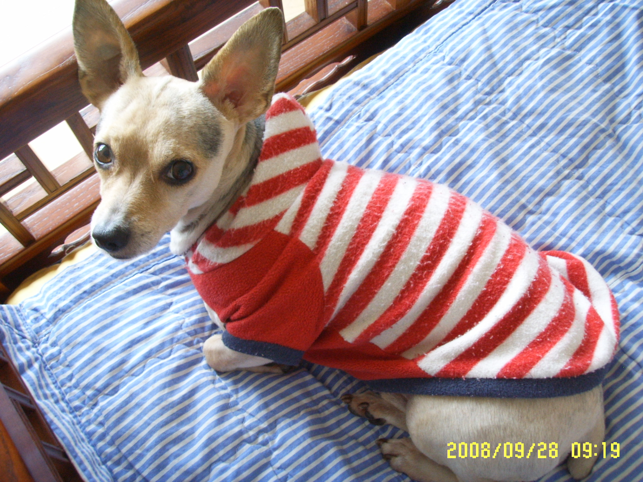 예삐...알탕이요....ㅎ~