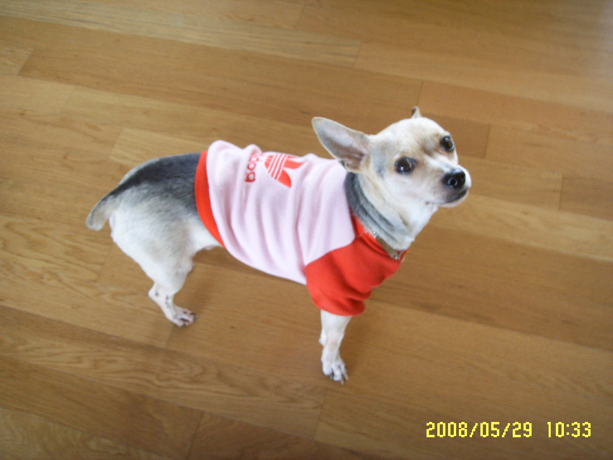 예삐...알탕이요....ㅎ~