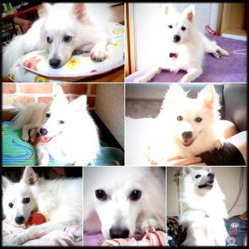 ㅋ 우리 쭌이 잘지내고 있어요~~