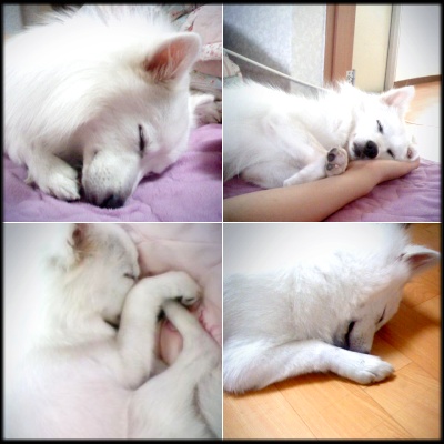 ㅋ 우리 쭌이 잘지내고 있어요~~