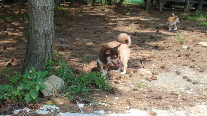 크리스마스 수술 잘 되길 기원해주세요..