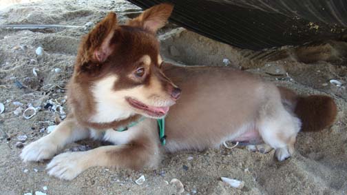 크리스마스 수술 잘 되길 기원해주세요..