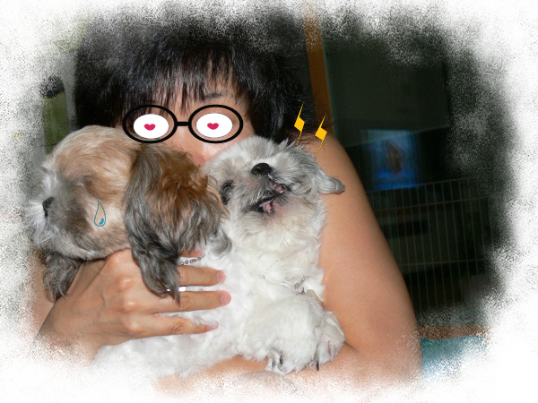 [반려동물돌보기 웍샵?] 이 시추에이션 설명해봅시다~ ㅋ