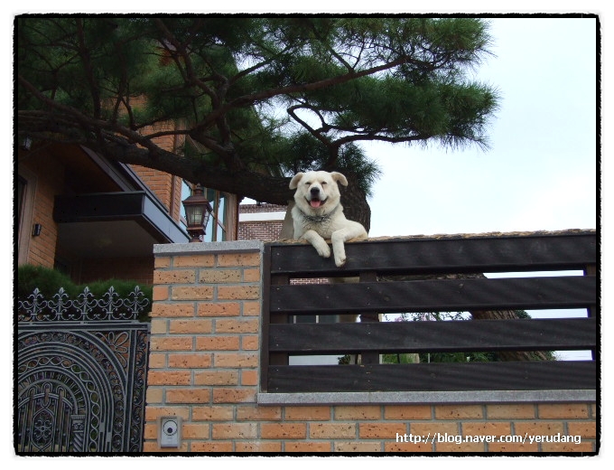 오랜만에 와서..안부 전해요.