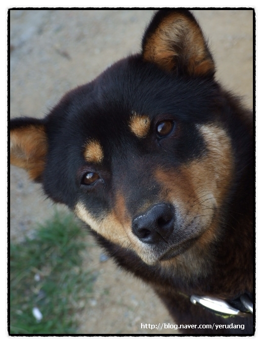 오랜만에 와서..안부 전해요.