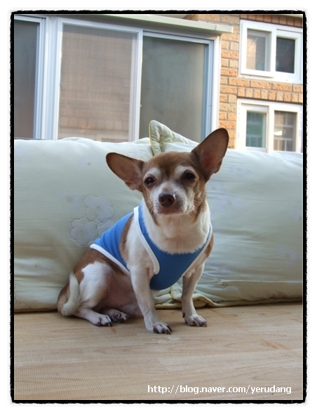 오랜만에 와서..안부 전해요.