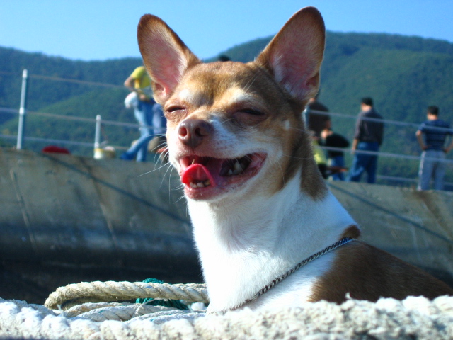 오랜만에 와서..안부 전해요.