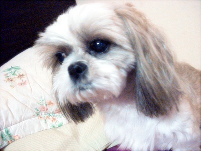 오랜만에 들려요~