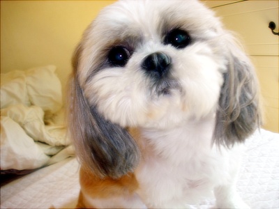 오랜만에 들려요~