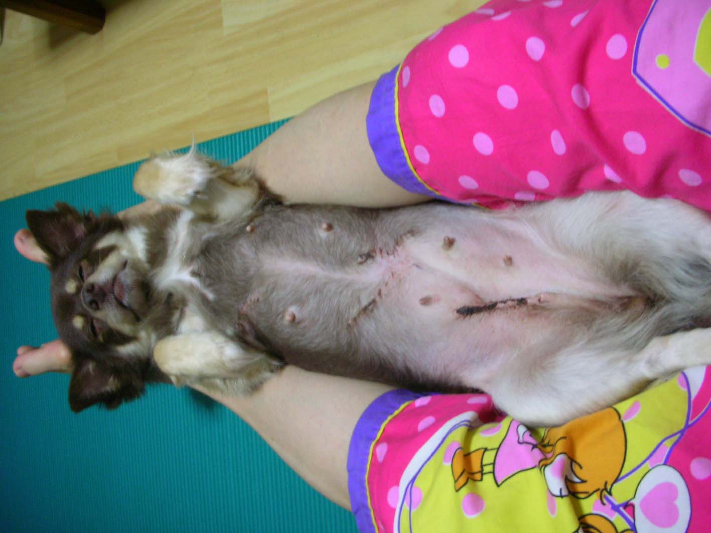 크리스마스 인사드려요.