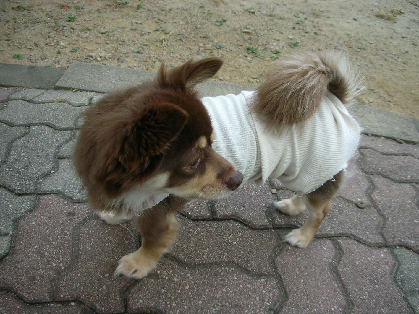 크리스마스 인사드려요.