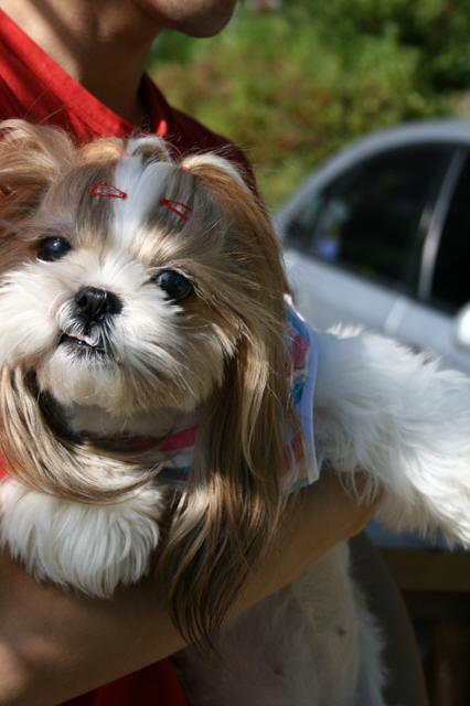 삼남매 생존신고합니다!