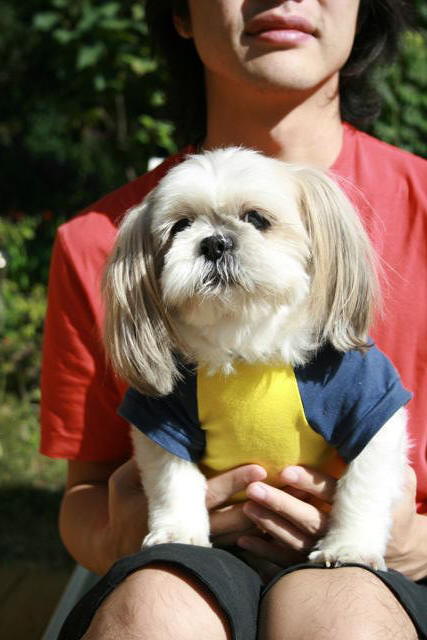 삼남매 생존신고합니다!