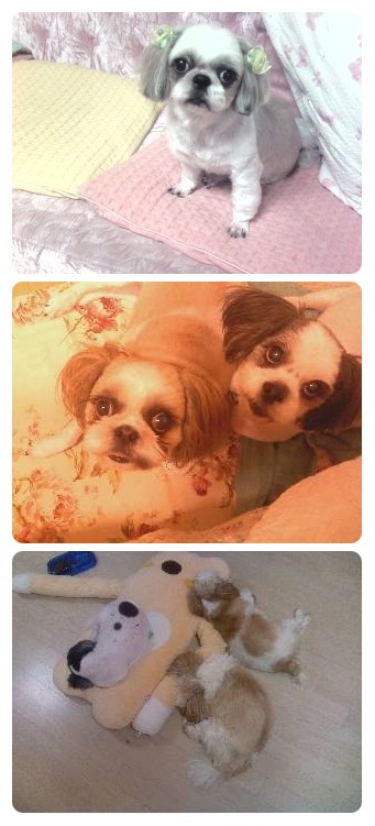 알콩달콩 바다네 ~