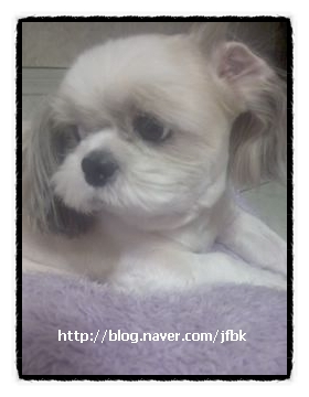 줌마,미남,알뜰이네...