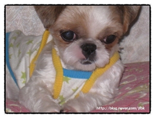 줌마,미남,알뜰이네...