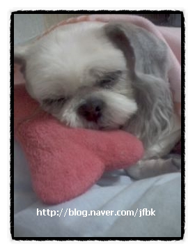 줌마,미남,알뜰이네...