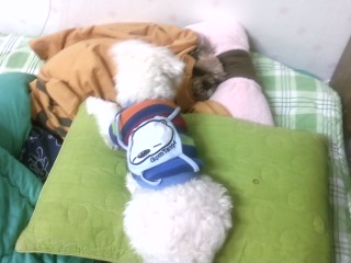 이 야심한 새벽에 ㅠ ㅠ흑 .. 