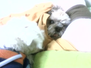 이 야심한 새벽에 ㅠ ㅠ흑 .. 